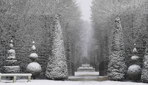 Fuertes nevadas siembran el caos en la región de París