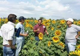 CONVOCAN A PRODUCTORES