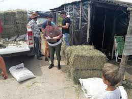 PRODUCCIÓN BRINDA ATENCIÓN SANITARIA A LOS ANIMALES DE LOS PRODUCTORES INUNDADOS