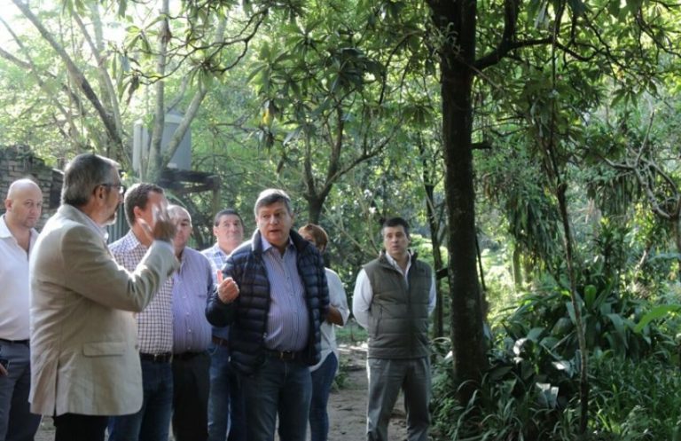 DÍA INTERNACIONAL DE LOS BOSQUES