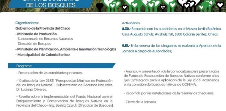 21 de MARZO DIA INTERNACIONAL DE LOS BOSQUES