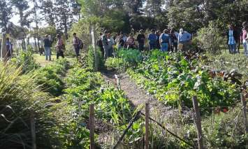 CAPACITARON A PRODUCTORES DE CHACO Y DE FORMOSA EN HUERTA ORGÁNICA CON ORIENTACIÓN AGROECOLÓGICA Y BPA