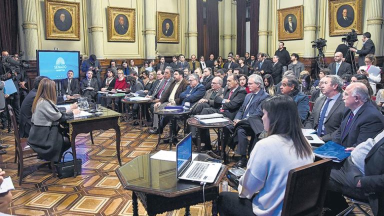 El Senado postergó hasta el 7 de agosto el tratamiento de la ley de extinción de dominio En busca de un dictamen unificado