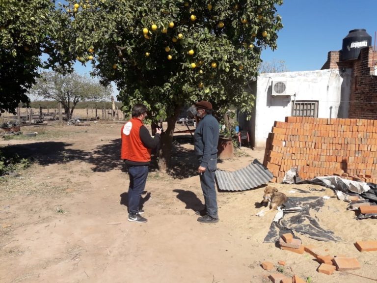 PROTECCIÓN VEGETAL  Chaco: continúan los monitoreos para prevenir el HLB
