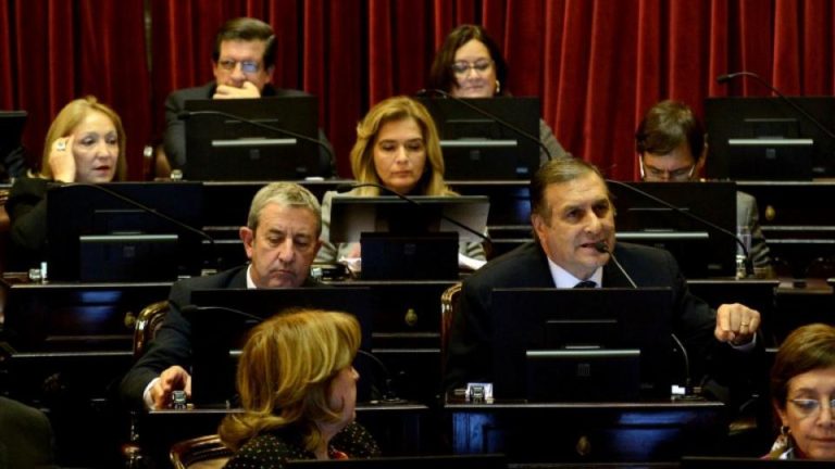 La Juventud Radical reclama a sus senadores el voto a favor de la legalización del aborto «La clandestinidad no salva ninguna vida»