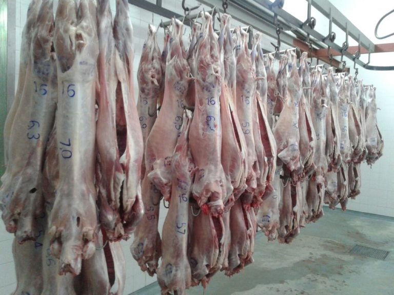 PRODUCCIÓN: EL CAMIÓN «CABRAS PARA TODOS» ESTARÁ EL JUEVES EN RESISTENCIA