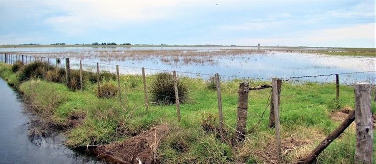 REFINANCIACIÓN DE DEUDAS A PRODUCTORES: EL VIERNES 30 VENCE EL PLAZO PARA SUMARSE A LOS BENEFICIOS ESTABLECIDOS POR LEY Nº 2688-F