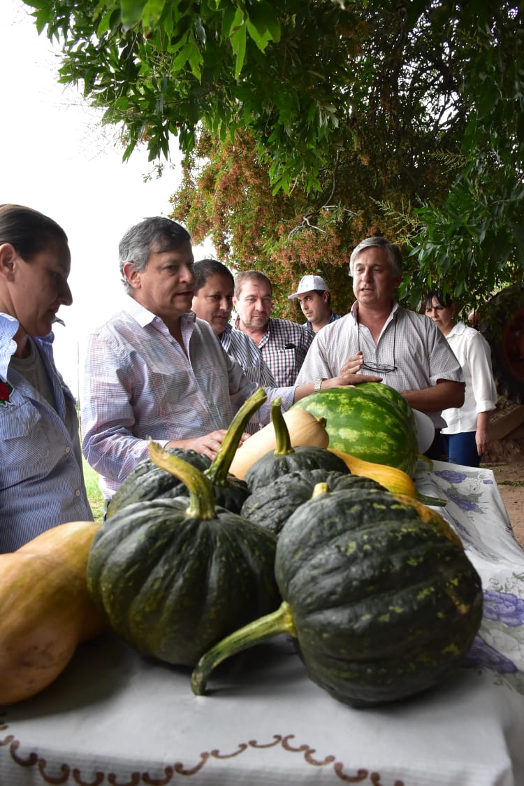 MÁS DE 700 PRODUCTORES SE BENEFICIARÁN CON EL SISTEMA DE RIEGO DEL PROYECTO GUAYCURÚ-INÉ