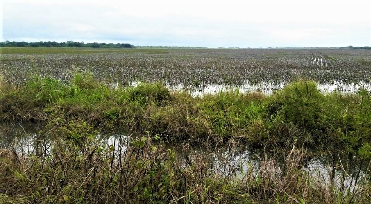 REFINANCIACIÓN DE DEUDAS A PRODUCTORES: EL PRÓXIMO 30 DE NOVIEMBRE VENCE EL PLAZO PARA SUMARSE A LOS BENEFICIOS DE LA LEY Nº 2688-F