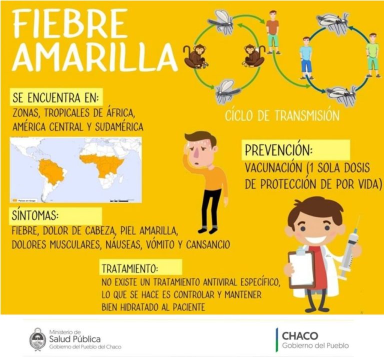 FIEBRE AMARILLA: EL MINISTERIO DE SALUD PIDE A LOS VIAJAEROS TOMAR RECAUDOS CORRESPONDIENTES