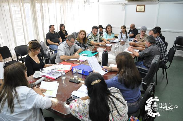 La Comisión de Educación recibió el reclamo de las EFA del Chaco