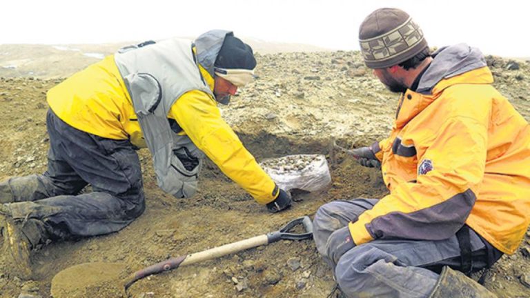Hallaron en la Antártida fósiles de un elasmosaurio