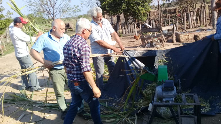 Jornada sobre caña de azúcar y suplementación en bovinos