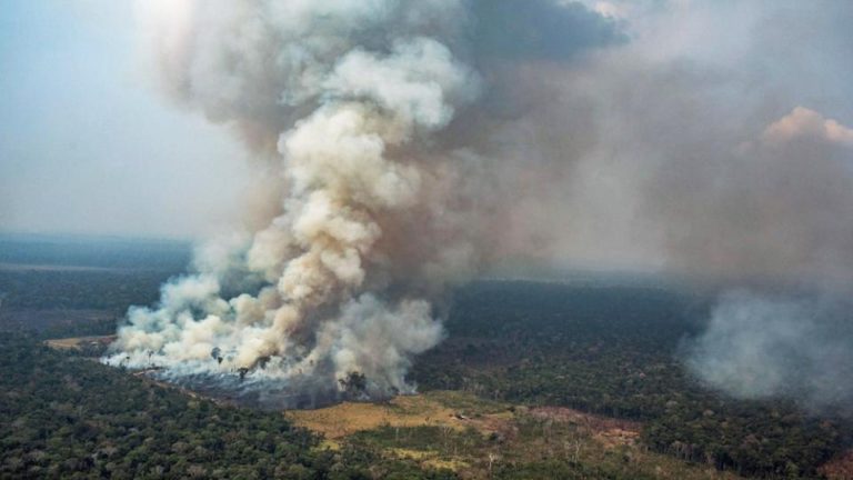 Bolsonaro firmó un decreto para para prohibir la quema para siembra durante 60 días
