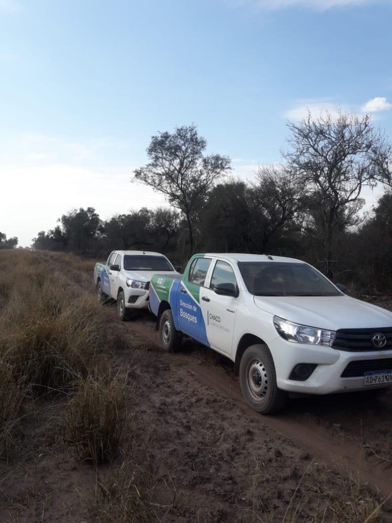 BOSQUES PARALIZO DEFORESTACIÓN ILEGAL