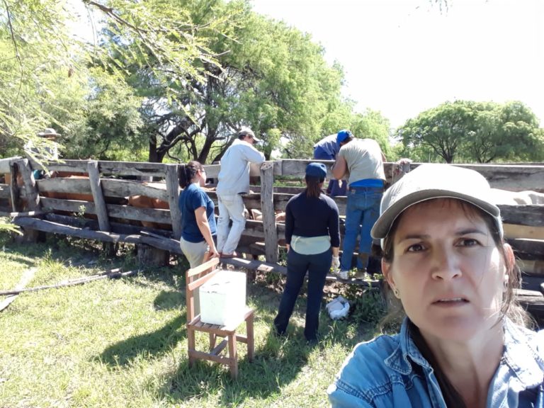 PRODUCCIÓN: EL LABORATORIO DE SANIDAD ANIMAL RECIBIÓ LAS PRIMERAS MUESTRAS PARA DIAGNÓSTICOS DE BRUCESOLISIS