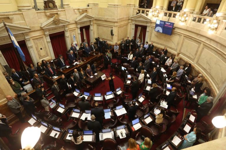 El Senado tratará el proyecto de Emergencia a partir de las 14 