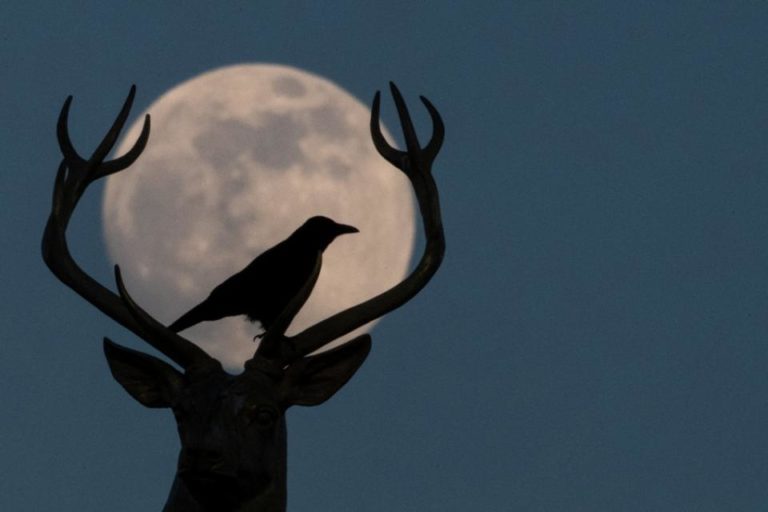 Llega el domingo la superluna de nieve