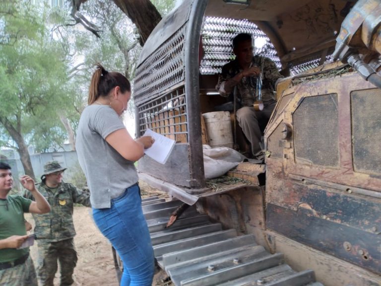 BOSQUES DIO PRECISIONES SOBRE OPERATIVOS PARA FRENAR EXPLOTACIONES FORESTALES ILEGALES