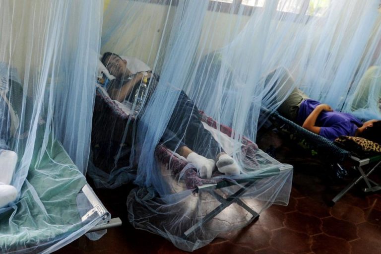 El Mercosur se ocupa del dengue