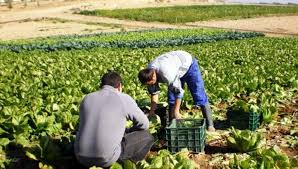 CONVOCAN A PRODUCTORES A PARTICIPAR DE LA FERIA DE TRABAJADORES DE LA ECONOMÍA POPULAR