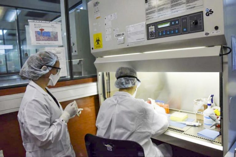 Coronavirus: medio millón de reactivos para hacer los tests
