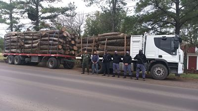 LA POLICÍA INCAUTÓ 26 MIL KILOS DE ALGARROBO POR IRREGULARIDADES EN EL PERMISO FORESTAL