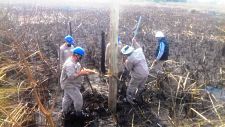 SECHEEP: INTENSO TRABAJO Y PREOCUPACIÓN POR INCENDIOS QUE DAÑAN LA RED ELÉCTRICA