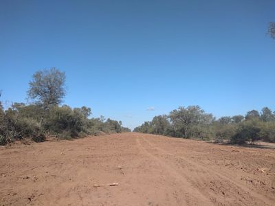 VIALIDAD PROVINCIAL ABRIÓ NUEVO CAMINO EN LA ZONA DE TACO POZO