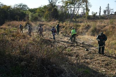 DESARROLLO TERRITORIAL Y AMBIENTE PARTICIPÓ