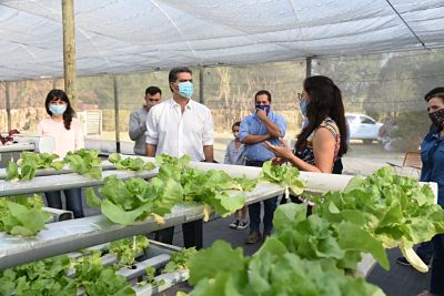 CAPITANICH VISITÓ LA HUERTA HIDROPÓNICA PANAMBÍ