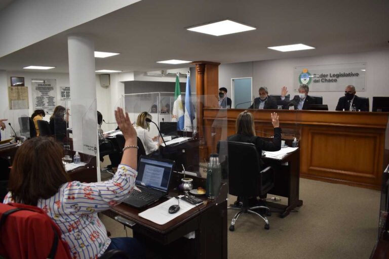 CAMARA DE DIPUTADOS: UNDECIMA SESION EN PANDEMIA.