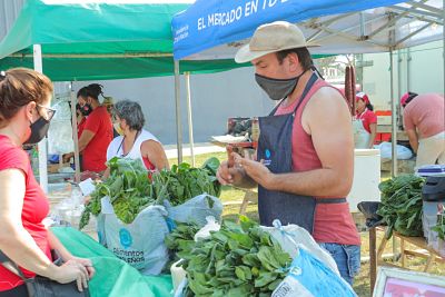 «VAMOS NOSOTROS» LLEGA ESTE JUEVES A LA TERMINAL