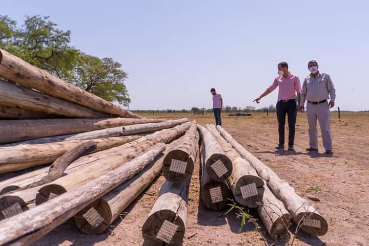 PLAZA: BERNACHEA «GESTIONAMOS POSTES PARA COOPERATIVA DE ELECTRIFICACIÓN RURAL LAS COLONIAS»