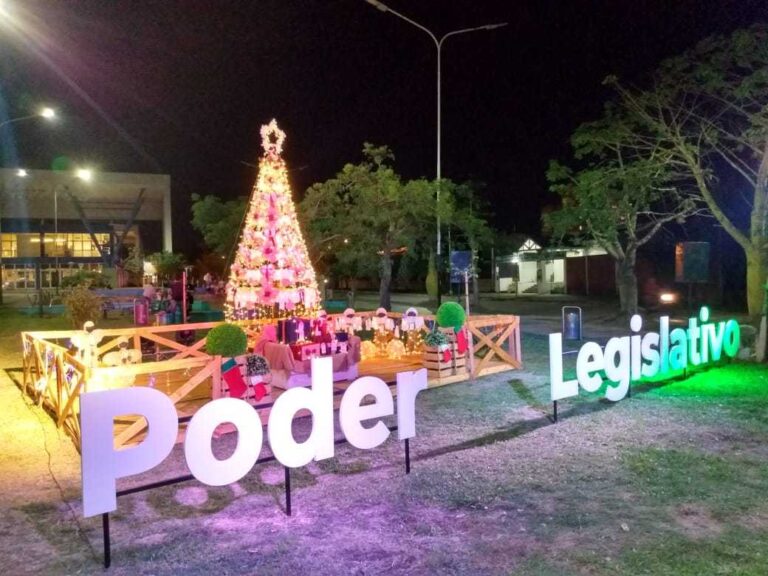 El Poder Legislativo encendió el árbol de Navidad frente al Hospital Pediátrico