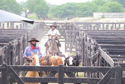 Remates Ganaderos Chaqueños