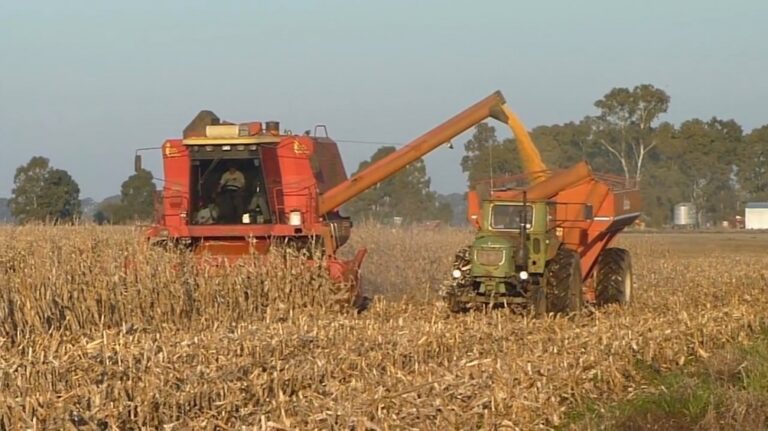 Sin aval de Coninagro, CRA, Federación Agraria y Sociedad Rural convocan a cese de comercialización