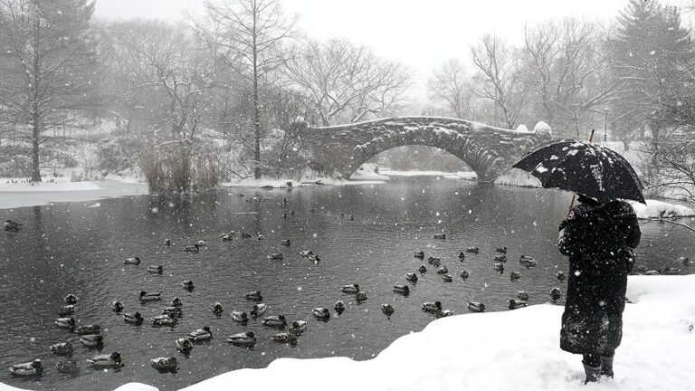 Así vive Nueva York la tormenta de nieve