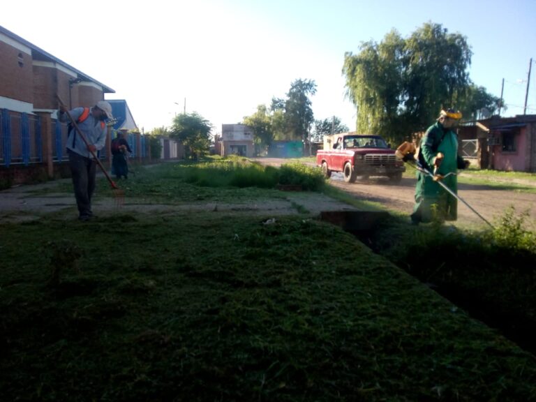 VUELTA A LA ESCUELA: EDUCACIÓN INICIÓ TRABAJOS