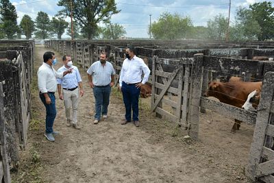 PRODUCCIÓN ACOMPAÑÓ CON UN REMATE GANADERO