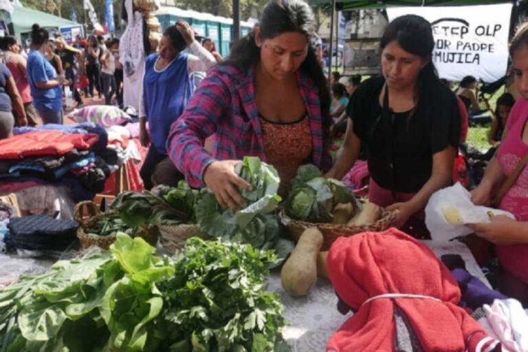 CHACO CREÓ EL INSTITUTO DE AGRICULTURA FAMILIAR