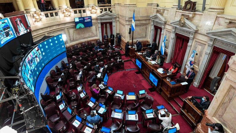 El Senado empieza a estudiar la postergación de las elecciones