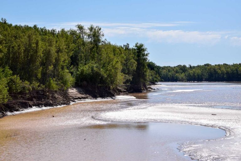 Restricción total a la pesca para preservar la fauna ictícola de la provincia