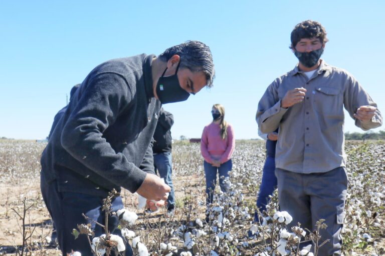 CHACO REACTIVA: CAPITANICH VISITÓ DOS PLANTAS INDUSTRIALES Y UN CAMPO DE ALGODÓN EN EL SUDOESTE CHAQUEÑO