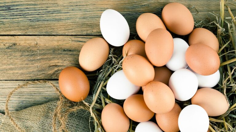 Productores de huevos elogiaron la decisión del Gobierno