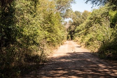 ORDENAMIENTO TERRITORIAL DE BOSQUES NATIVOS: LA PROVINCIA