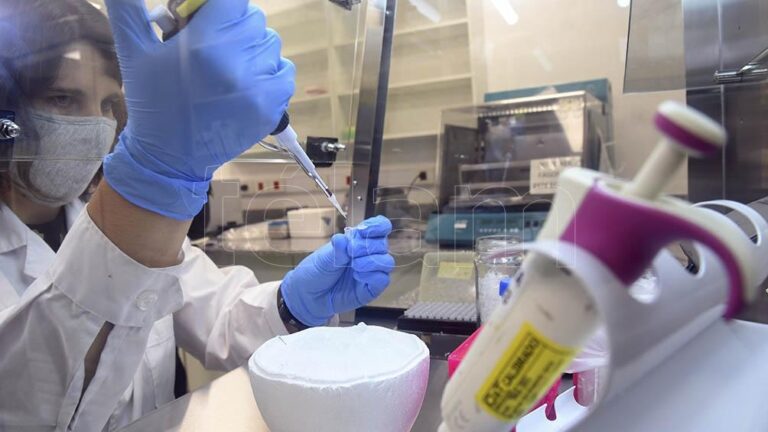 Investigación: La OMS probará tres nuevas drogas para coronavirus
