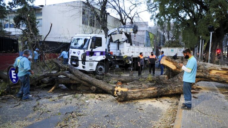 Suspenden las clases en Mendoza por fuertes ráfagas de viento Zonda