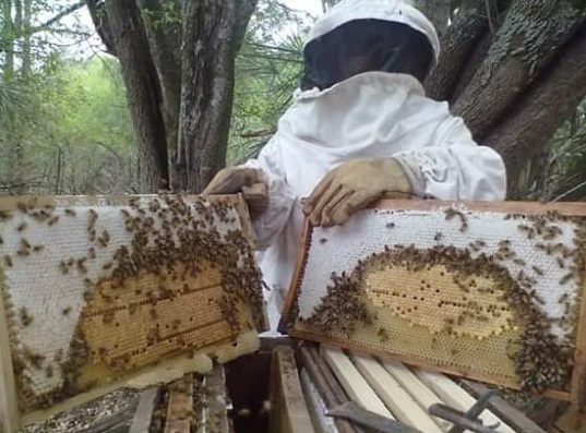 CHACO SE POSICIONA EN EL MUNDO CON LA PRODUCCIÓN