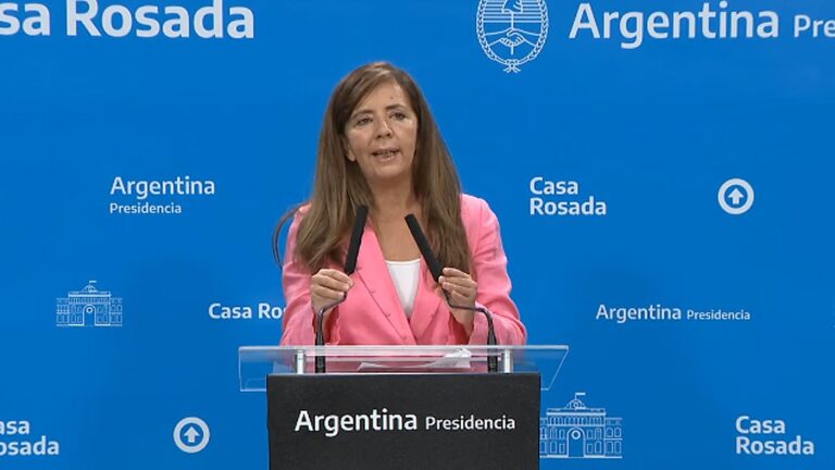 Cerruti: «La Argentina seguirá buscando respaldo internacional